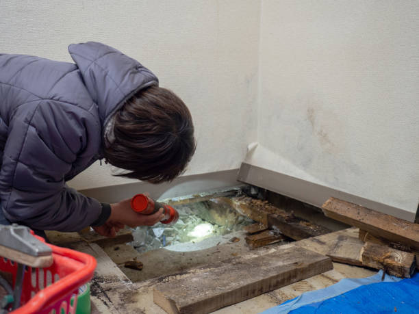 Best Mold Odor Removal Services  in Glenns Ferry, ID