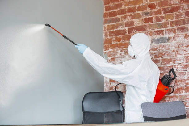 Trusted Glenns Ferry, ID Mold Removal Experts