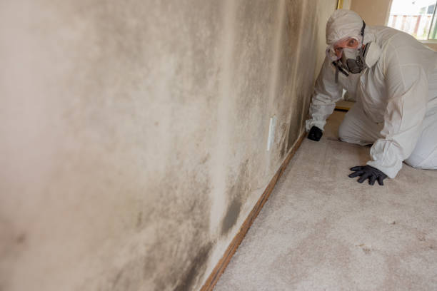 Best Indoor Air Quality Assessment  in Glenns Ferry, ID